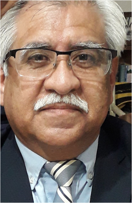 Dr. Enrique Mijares Red Mexicana de Educación en Bioética